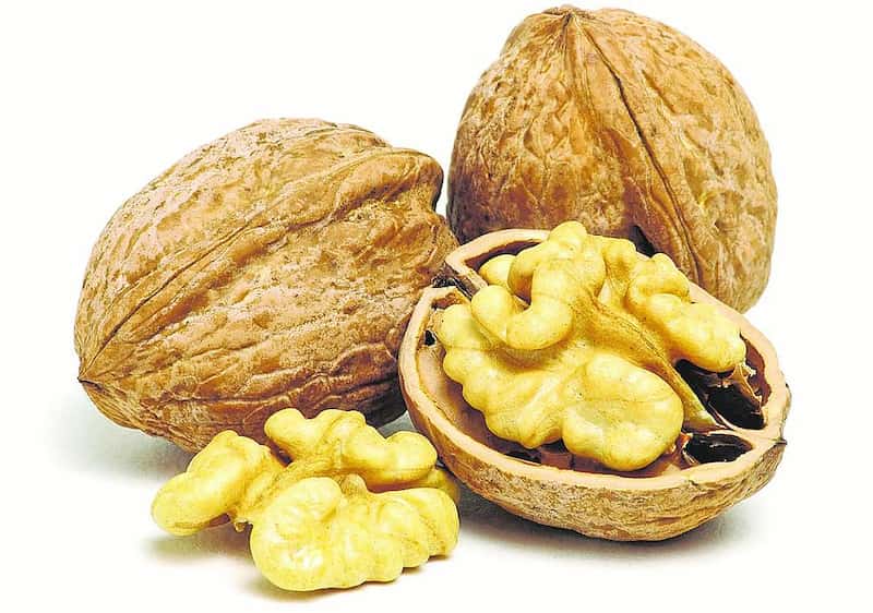 تصویر 1 از گردو تویسرکان امسال با تازگی بی نظیر و مغز سفید